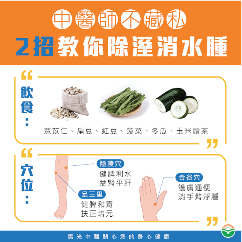 脾濕水腫型，易胖體質的減重策略