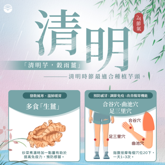 清明節氣首重保暖去濕，中醫師教你提升免疫力